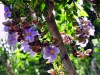 dsc0012