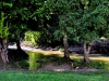 dsc0024