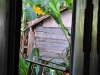 dsc0033