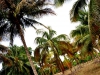 dsc0060