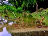 dsc0106