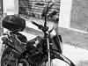 moto-2 moto-2