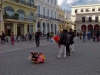 100_5044_1 100_5044_1
