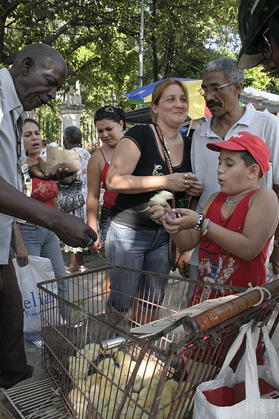 Foto: Elio Delgado