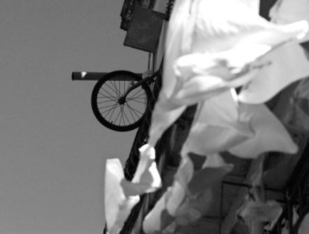 Foto: Caridad
