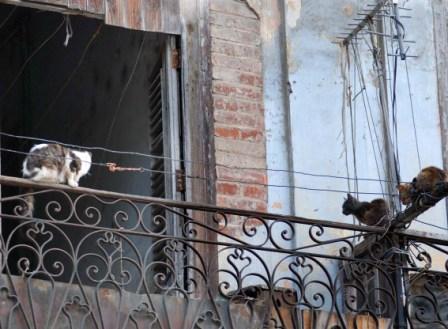 Foto: Caridad