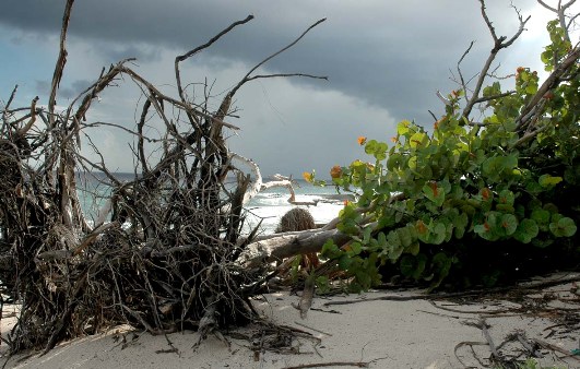 Playa de La Habana del Este. Foto: Caridad
