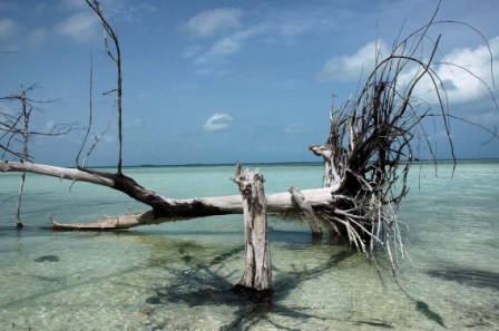 Playa de Isabela de Sagua, Villa Clara.  Foto: Caridad