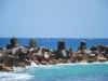 Beach in Havana.  Photo: Chris Lewis