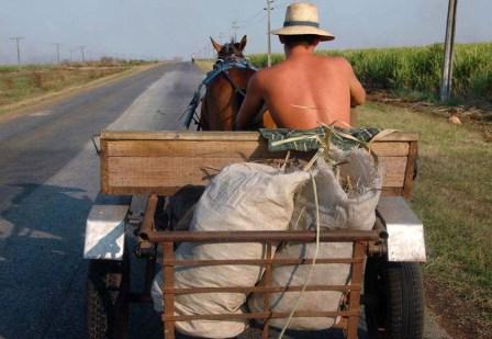 Farmer in Matanzas, Cuba.  Photo: Bill Hackwell