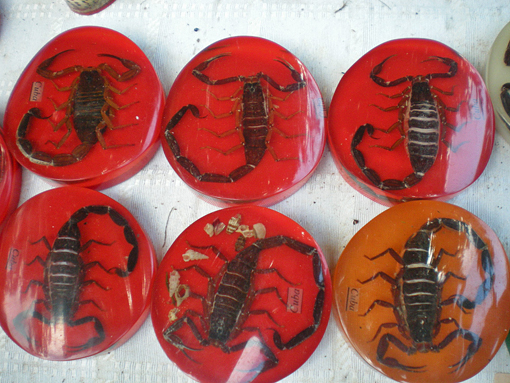Scorpions.