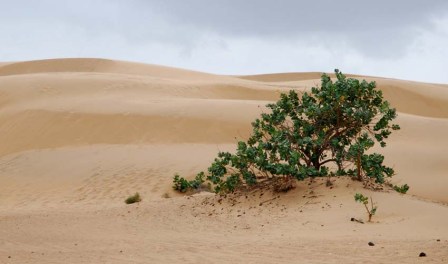 An encounter with nature in the Venezuelan state of Falcon