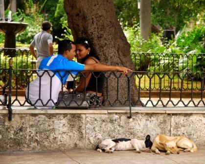 Parque en La Habana Vieja. foto: Caridad