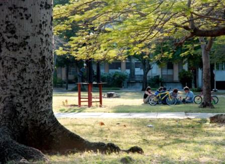 Estudantes en un parque de La Habana. Foto: Caridad
