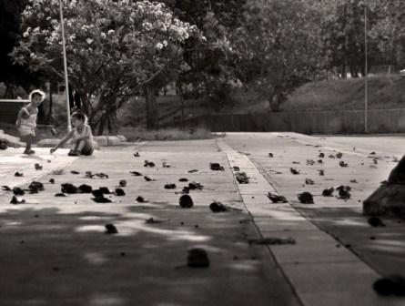 Fall in a Havana Park. Photo: Caridad Fall in a Havana Park. Photo: Caridad