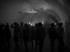 013 013