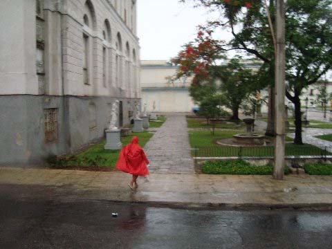 Foto por Pam Martin