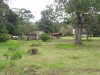 20170818_113222 20170818_113222