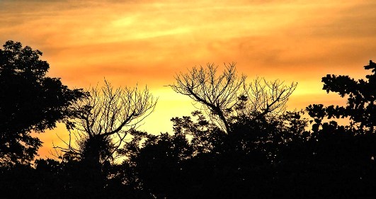 Atardecer en Pinar del Rio. Foto: Caridad