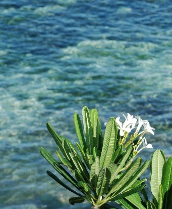 Foto de Cabo San Antonio, Cuba by Caridad