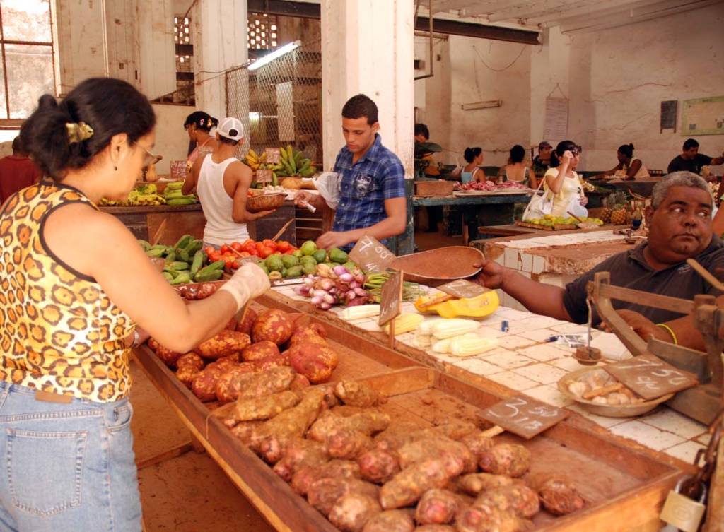 Vendedor de agro. Photo: Caridad Vendedor de agro. Photo: Caridad
