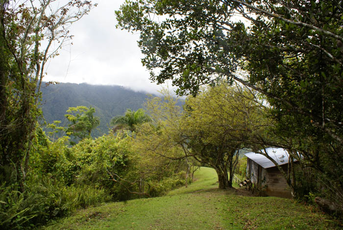 La comandancia de Fidel en la Sierra Maestra. Foto: Elio Delgado