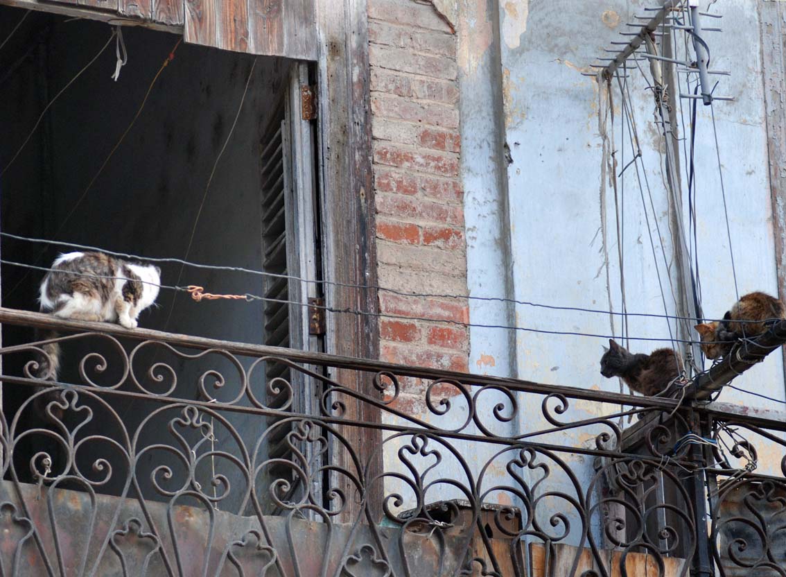 Balcones y Tendederas - foto: Caridad