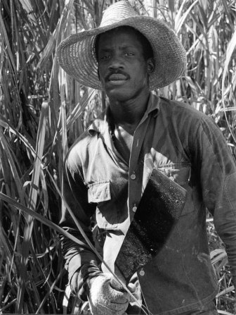 Cortador de caña.