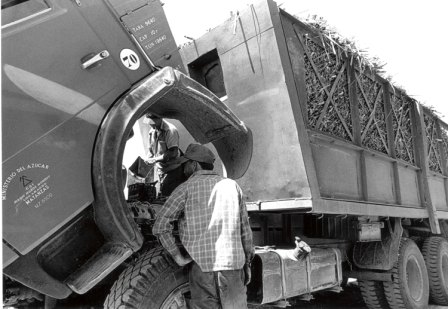 Transportando la cosecha de caña al ingenio Mario Muñoz, Matanzas, Cuba