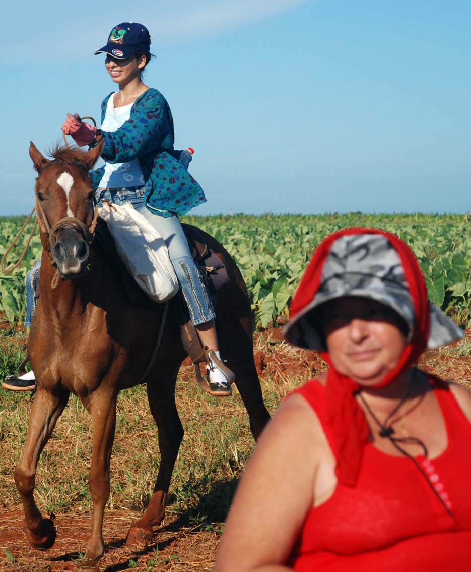 No todo el mundo aceptará un trabajo en la agricultura o la construcción. Foto: Caridad