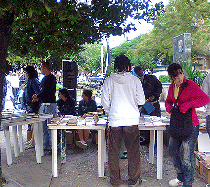 El conocido y eficiente andamiaje (2010)