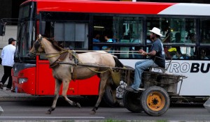 Transportes. Foto: Caridad