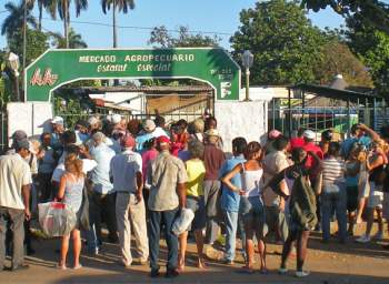 Mercado Agropecuario Estatal Especial de La Lisa (262-8875)