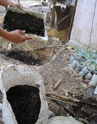 Compost listo para utilizar. Compost listo para utilizar.