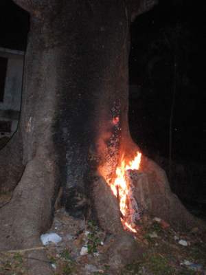 La base del árbol estaba en llamas.