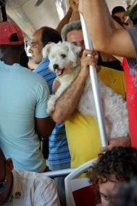 Foto: Caridad