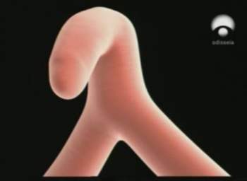 Imagen obtenida del documental Clítoris, de la realizadora Michele Dominici.