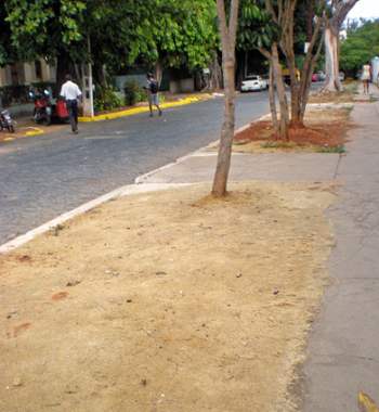 Las afectaciones han sido visibles.