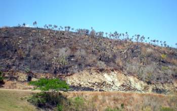 La Loma de la Coca incendiada.