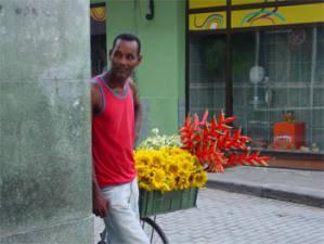 Foto: Nicole Morre