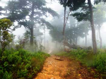 El Sendero