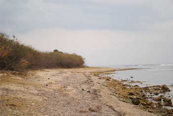 Playa Marabu