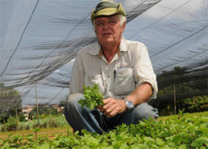 Miguel Salcines, the president of the cooperative, showing us the mint that he sells to the Bodeguita del Medio. Photo: Raquel Perez