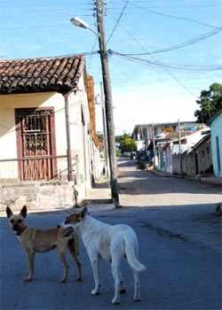 Foto: Irina Echarry