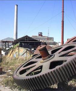 Since 1990, the industry has suffered a marked decline – from 7 million tons to just over 1 million. Photo: Raquel Perez
