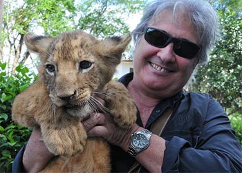 El regalo del zoológico a los periodistas fue dejarnos jugar con 3 leoncitos recién nacidos. Foto: Raquel Pérez
