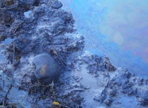 Crude residues in the stream affected by the spill. Photo: Andrei Alvarez